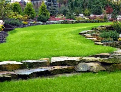 Cornus Ogrody - projektowanie ogrodów Łódź, zakładanie trawników